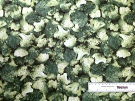 Broccoli 1/4yd