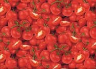 Tomatoes red