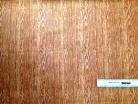 Woodgrain Light 1/4yd